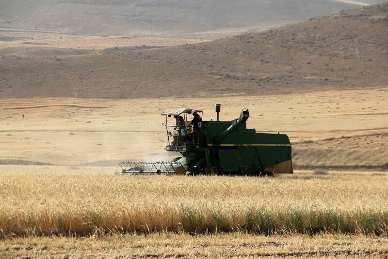 پرداخت ۱۹۰ هزار میلیارد ریال به گندمکاران خوزستانی