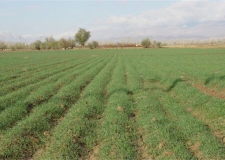 تامین آب کشت پاییزه برای کشاورزان خوزستانی