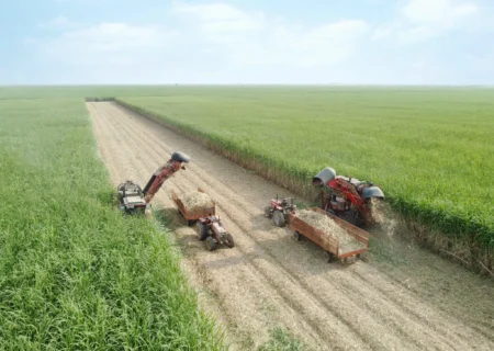 مدیرعامل شرکت توسعه نیشکر خبر داد: برداشت نیشکر از ابتدای فصل، ۱۰۰ درصد سبز انجام شده است/ امسال ناوگان برداشت نیشکر با ۹ هاروستر جدید تقویت شد