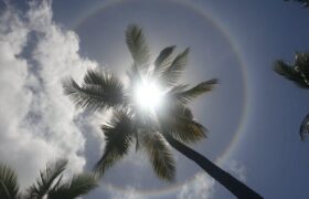 شکسته شدن رکورد ۱۰ ساله گرمای زمستانی در خوزستان/ ثبت موج گرمایی بی‌سابقه در بهمن