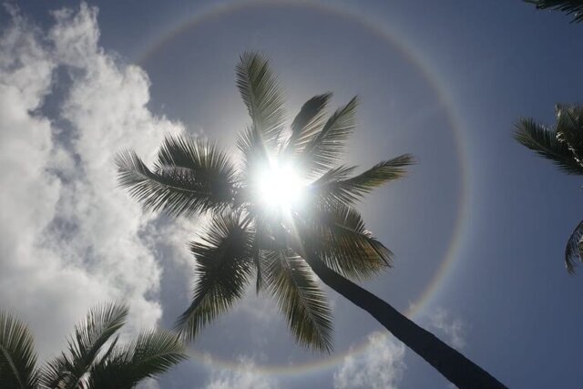 شکسته شدن رکورد ۱۰ ساله گرمای زمستانی در خوزستان/ ثبت موج گرمایی بی‌سابقه در بهمن