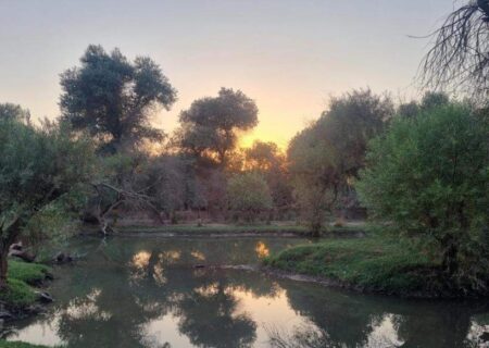 دژ محمدعلی‌خان و بیشه عباس‌آباد دزفول در مسیر ثبت ملی